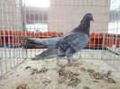 DSCN8637