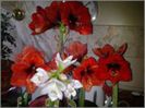 20140221_170920