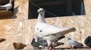WP_20141212_10_23_45_Pro
