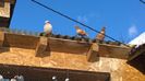WP_20141212_10_18_31_Pro