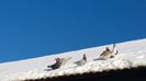 WP_20141212_10_07_18_Pro