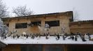 WP_20141209_12_43_58_Pro