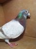 IMG-20141207-WA0021