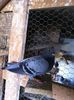 IMG-20140911-WA0009