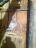 image-6dfd51a57944a06e735a9a8585cc9f615ceace2363da98666933e1cd576c4809-V