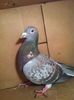 IMG-20141207-WA0033