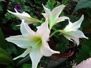 20140729_080953