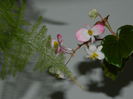 DSCN5573