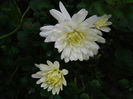 DSCN5612