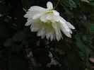 DSCN5614