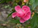 DSCN5638