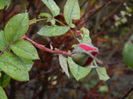 DSCN5658