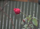 DSCN5681