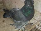 IMG-20141116-01195