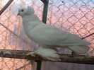 IMG-20141011-00981