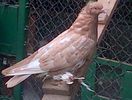 IMG-20140822-00756