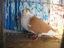 DSCN0036