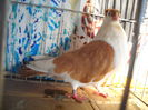 DSCN0038