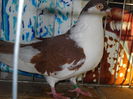 DSCN0046