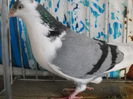 DSCN0047
