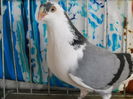 DSCN0048