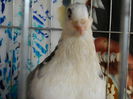 DSCN0060
