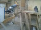 Imag 012228