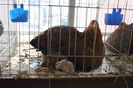 IMG_0186