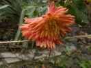 DSCN5690