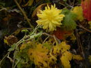 DSCN5692