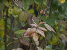 DSCN5714