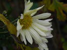 DSCN5722