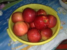 aceleasi mere de toamna in ian  2010