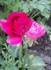 DSC06608