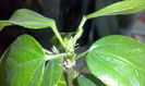 CAM00307