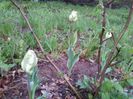 20140424_193752