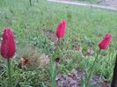 20140424_193806