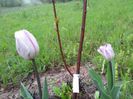 20140424_193838