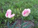 20140424_193845