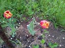 20140424_193903