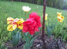 20140424_193923