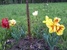 20140424_193936