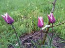 20140424_193947