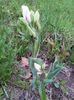20140424_194148