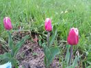 20140424_194457
