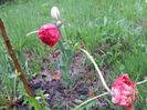 20140424_194648