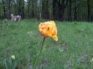 20140424_194747