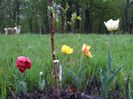 20140424_194828