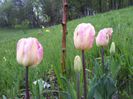20140424_194859