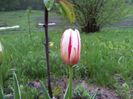 20140424_195128